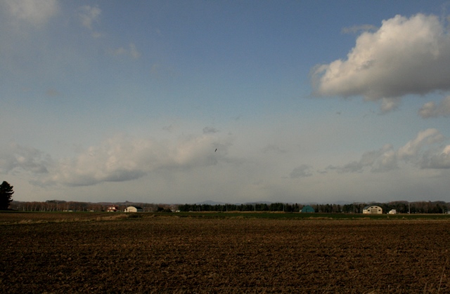 f:id:bihorokiyoshi:20191120065022j:plain