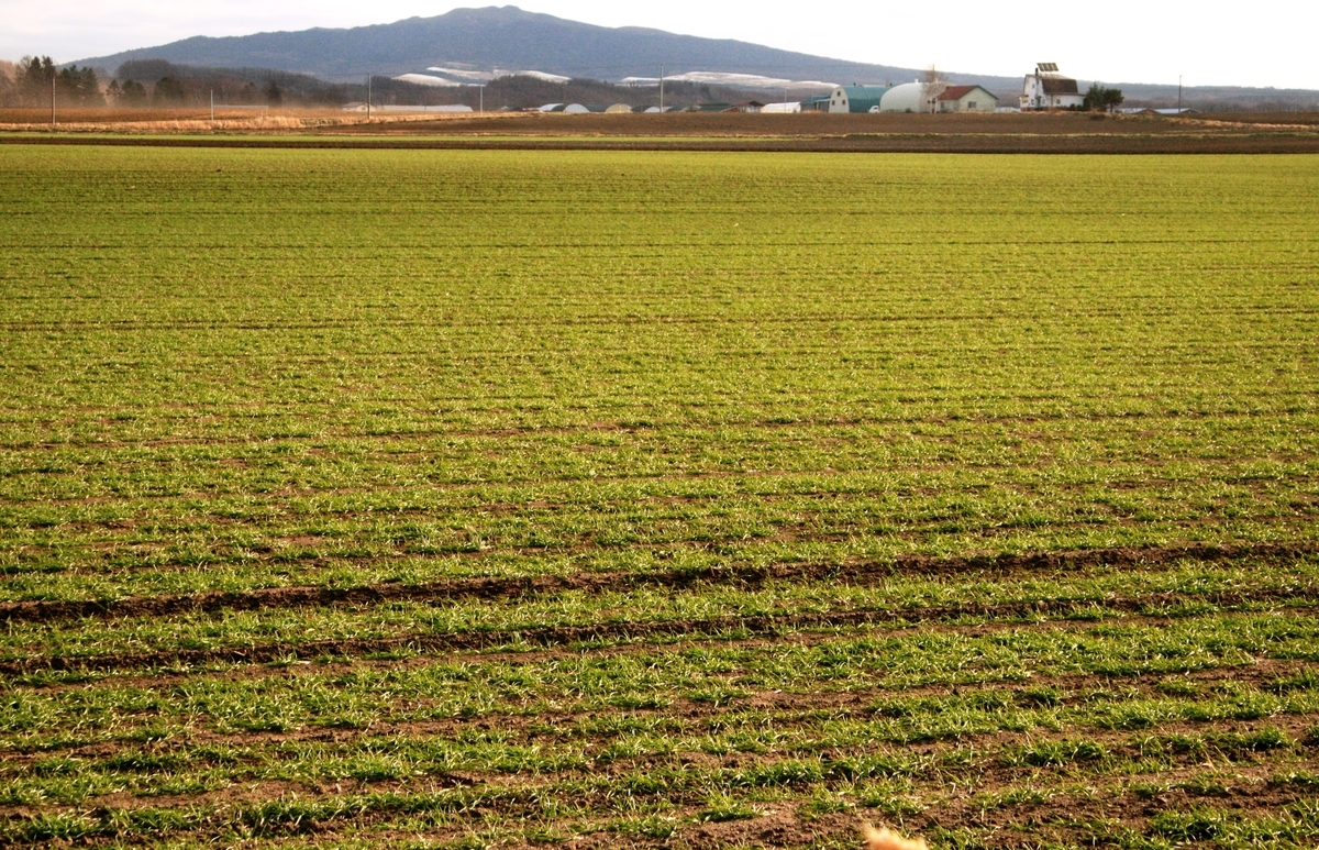 f:id:bihorokiyoshi:20191122063444j:plain f:id:bihorokiyoshi:20191122063444j:plain