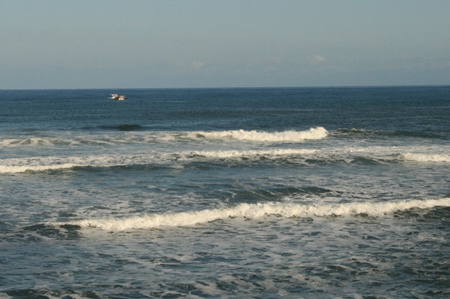 f:id:bihorokiyoshi:20191125070834j:plain