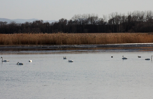 f:id:bihorokiyoshi:20191126073752j:plain