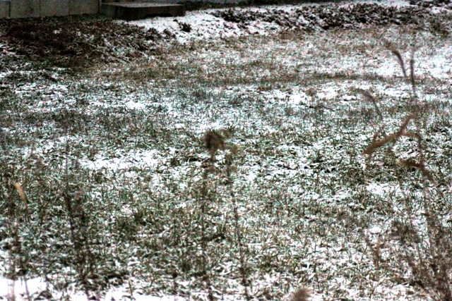 f:id:bihorokiyoshi:20191128070914j:plain