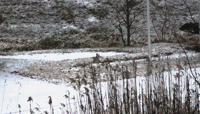 f:id:bihorokiyoshi:20191128070934j:plain