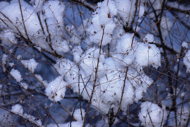 f:id:bihorokiyoshi:20200122061642j:plain