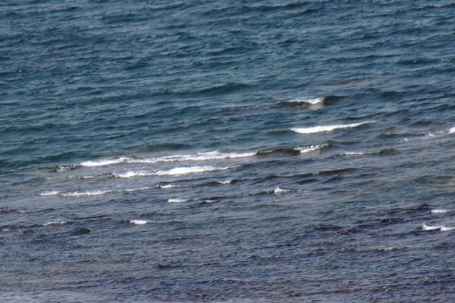 f:id:bihorokiyoshi:20200401064645j:plain