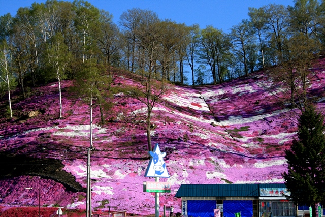 f:id:bihorokiyoshi:20200506044945j:plain f:id:bihorokiyoshi:20200506044945j:plain