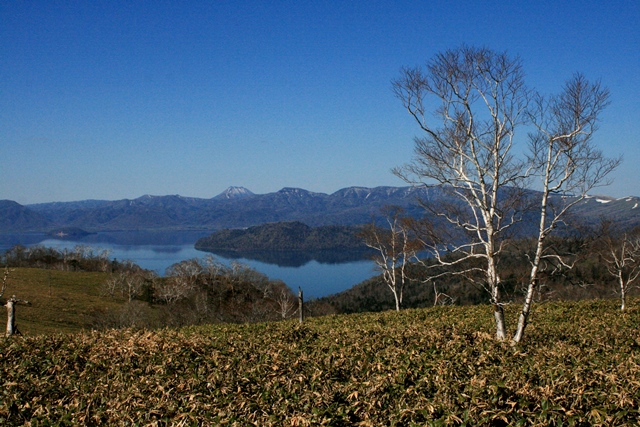 f:id:bihorokiyoshi:20200512060134j:plain