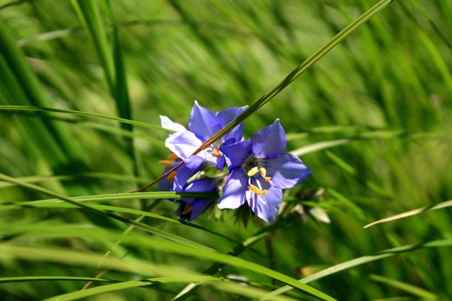 f:id:bihorokiyoshi:20200606045528j:plain