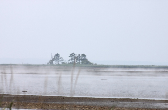f:id:bihorokiyoshi:20200630052626j:plain