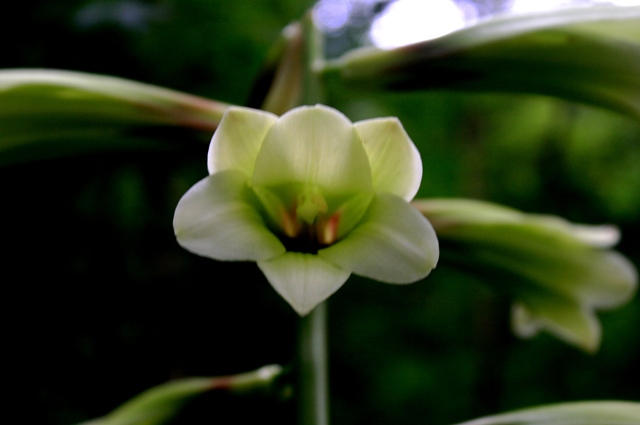 f:id:bihorokiyoshi:20200718050145j:plain