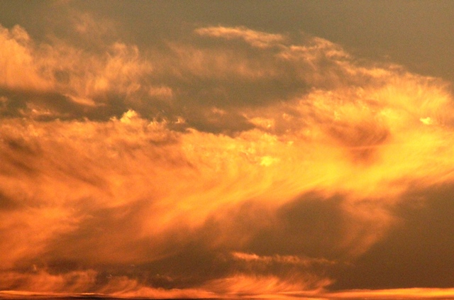 f:id:bihorokiyoshi:20200719063316j:plain