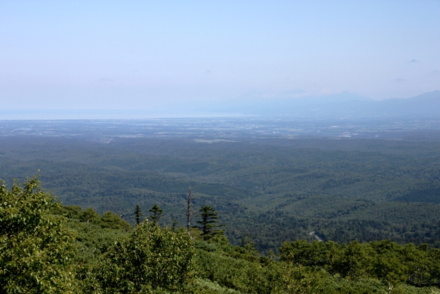 f:id:bihorokiyoshi:20200823083622j:plain