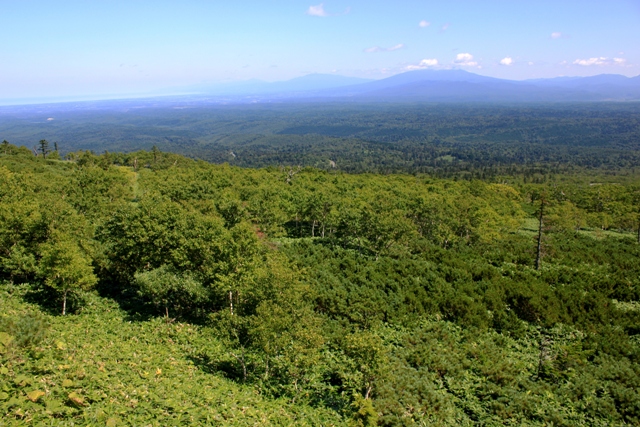 f:id:bihorokiyoshi:20200823083712j:plain