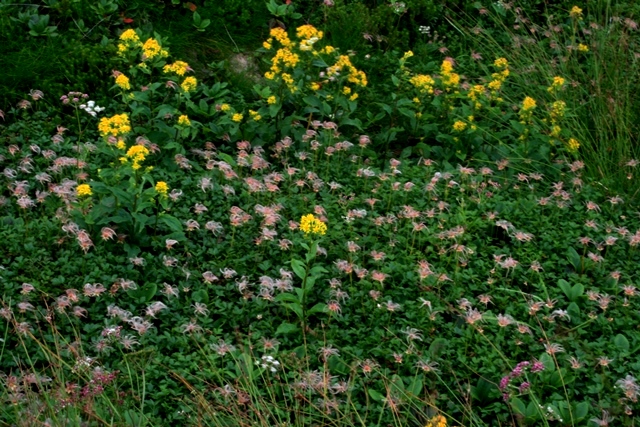 f:id:bihorokiyoshi:20200829062246j:plain