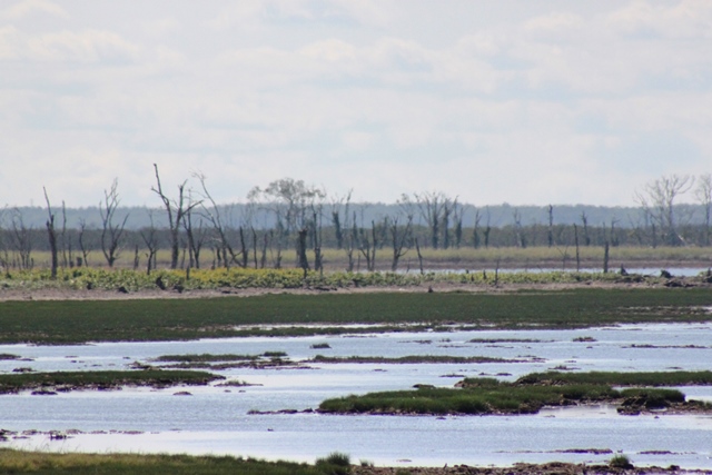 f:id:bihorokiyoshi:20200908071417j:plain