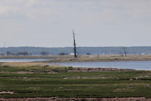 f:id:bihorokiyoshi:20200908071501j:plain