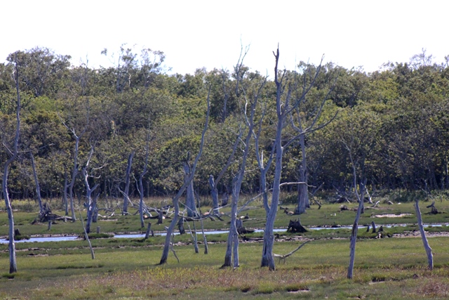 f:id:bihorokiyoshi:20200908071530j:plain