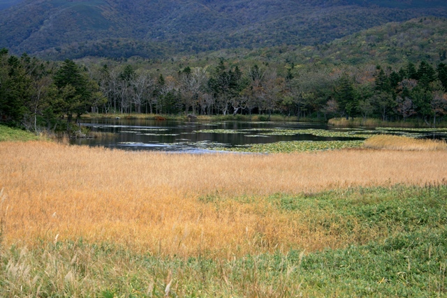 f:id:bihorokiyoshi:20201007074634j:plain