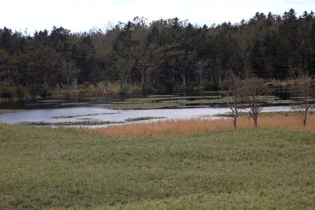 f:id:bihorokiyoshi:20201007074726j:plain