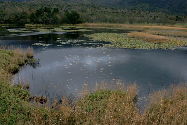 f:id:bihorokiyoshi:20201007074804j:plain