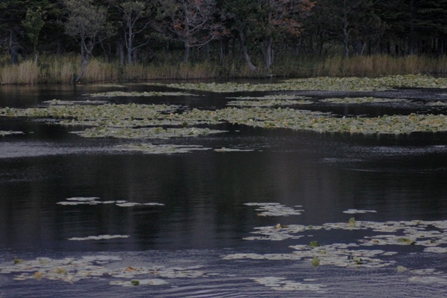 f:id:bihorokiyoshi:20201007074840j:plain