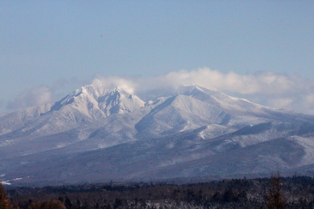 f:id:bihorokiyoshi:20201120061505j:plain