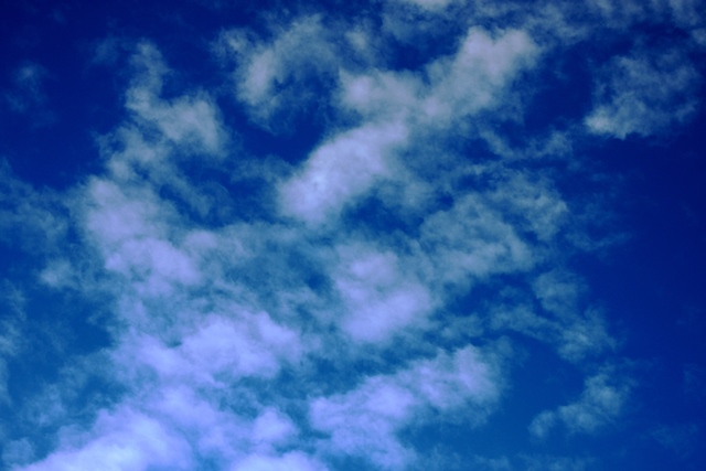 f:id:bihorokiyoshi:20201127070030j:plain