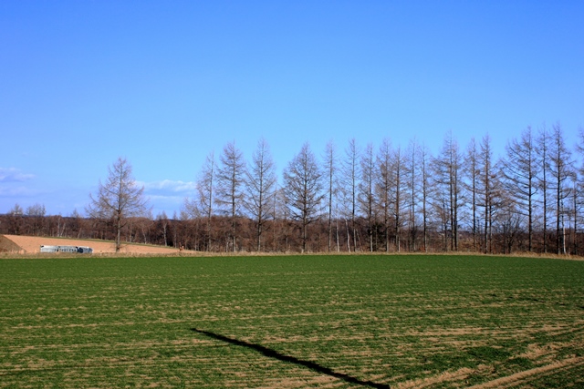 f:id:bihorokiyoshi:20201129073327j:plain