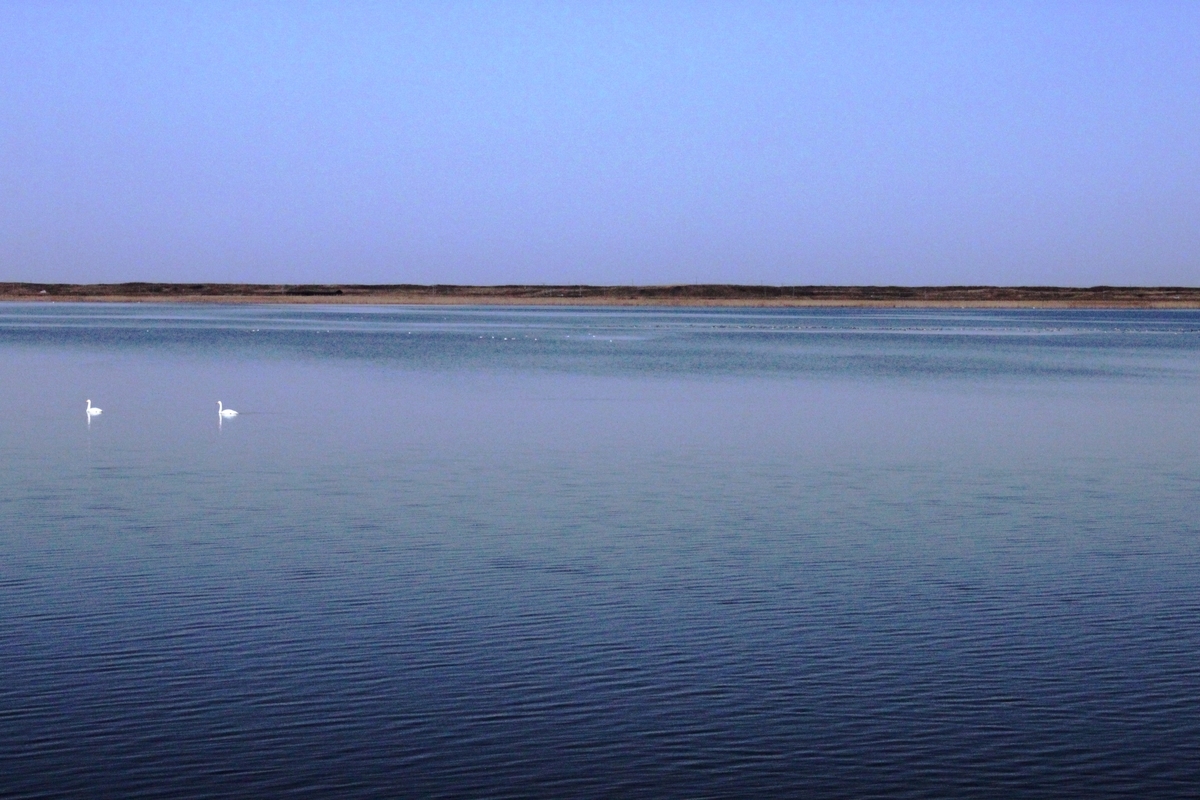 f:id:bihorokiyoshi:20201205064008j:plain