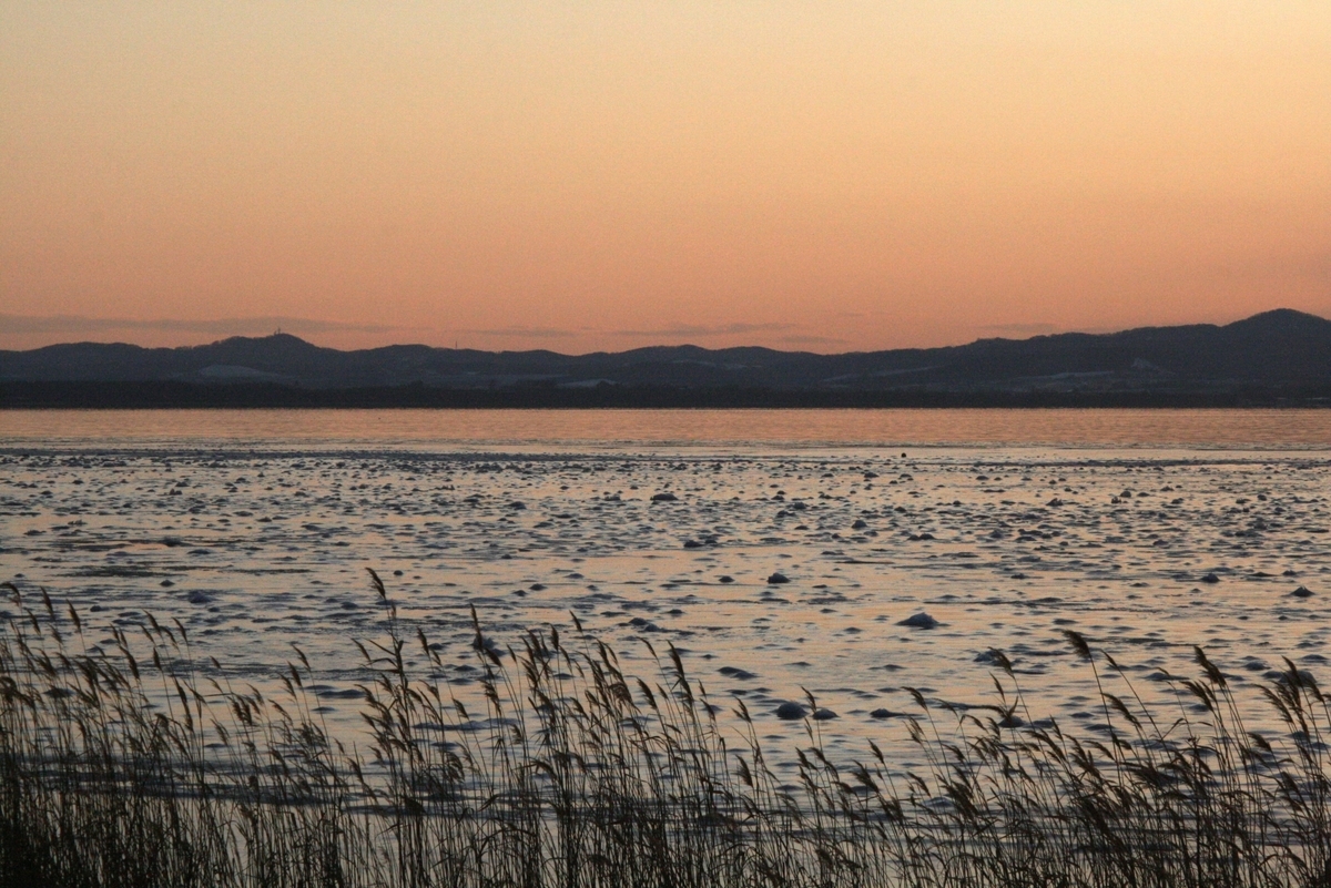 f:id:bihorokiyoshi:20201211065014j:plain