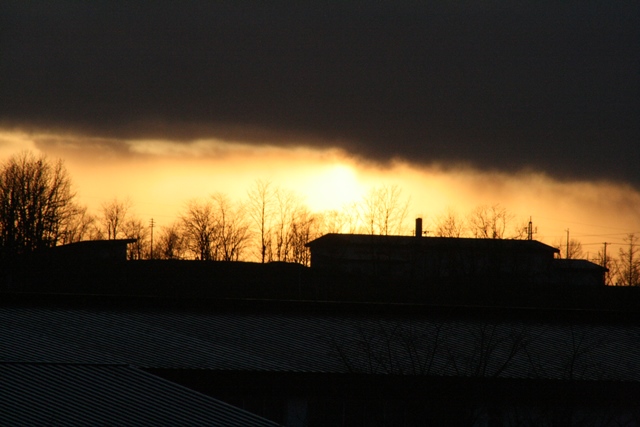 f:id:bihorokiyoshi:20201212072132j:plain