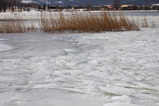 f:id:bihorokiyoshi:20201227072714j:plain