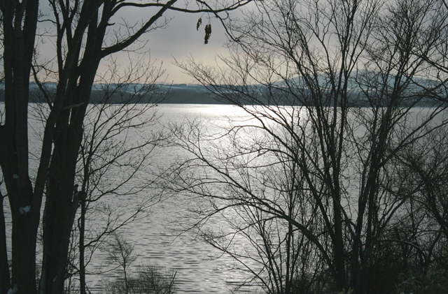 f:id:bihorokiyoshi:20201227072815j:plain