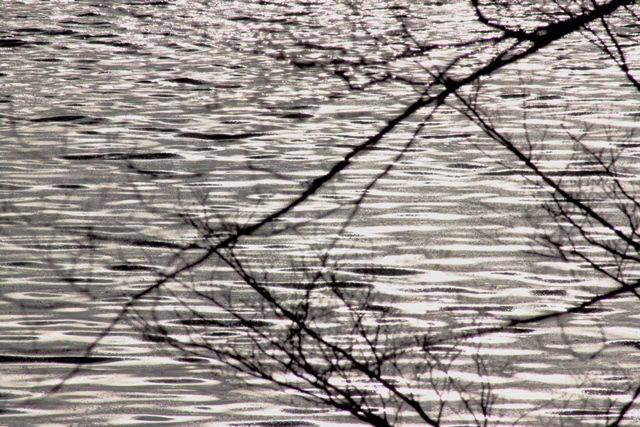 f:id:bihorokiyoshi:20201227072901j:plain