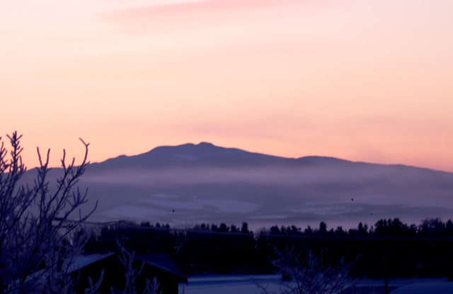 f:id:bihorokiyoshi:20210104064004j:plain