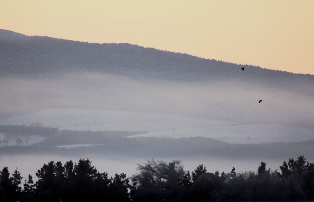 f:id:bihorokiyoshi:20210104064147j:plain