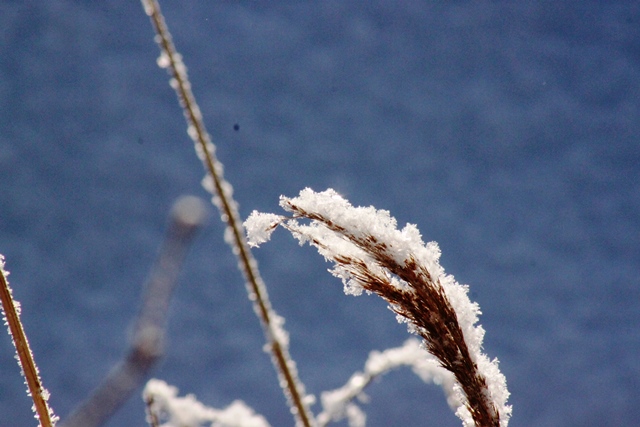 f:id:bihorokiyoshi:20210129074118j:plain