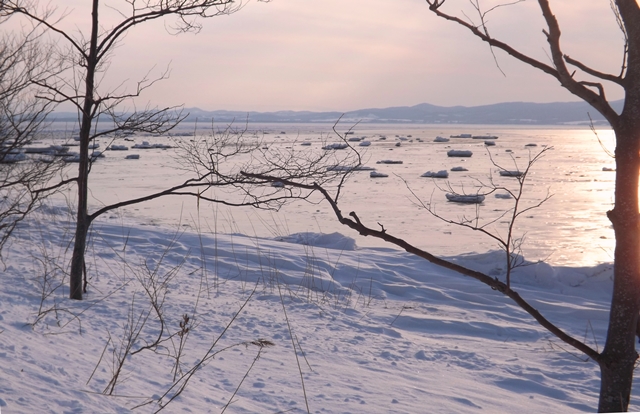 f:id:bihorokiyoshi:20210203065553j:plain