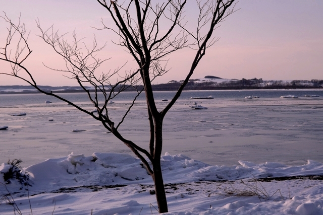 f:id:bihorokiyoshi:20210203065618j:plain