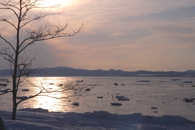 f:id:bihorokiyoshi:20210203065646j:plain