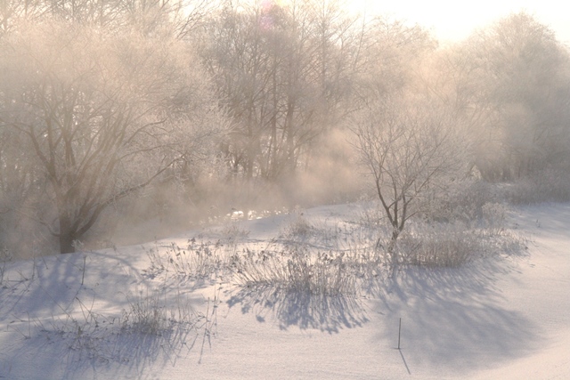 f:id:bihorokiyoshi:20210205061824j:plain