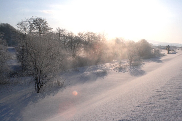 f:id:bihorokiyoshi:20210205061845j:plain