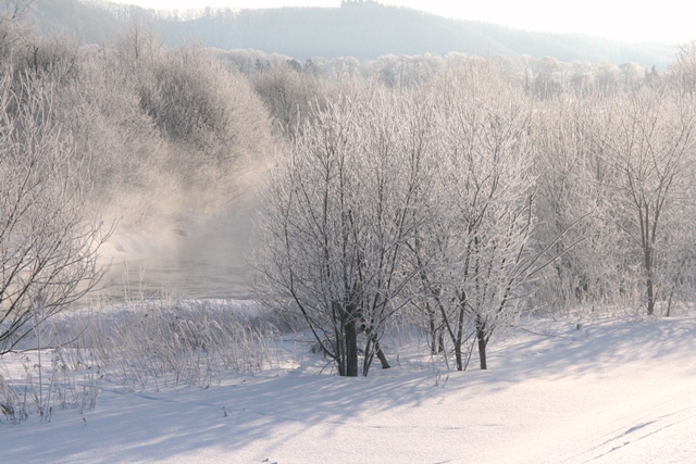 f:id:bihorokiyoshi:20210205061906j:plain