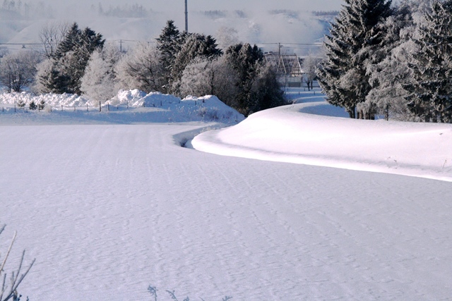 f:id:bihorokiyoshi:20210206073154j:plain