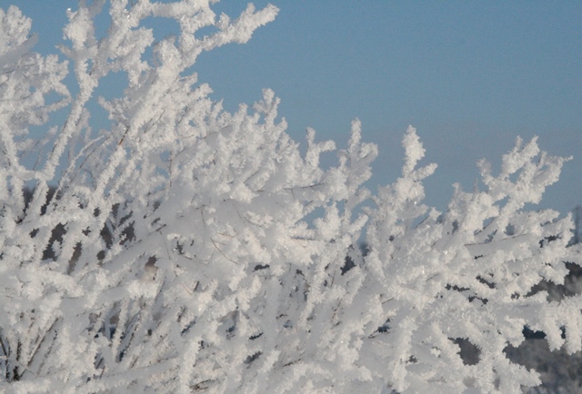 f:id:bihorokiyoshi:20210206073223j:plain