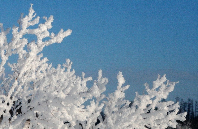 f:id:bihorokiyoshi:20210206073244j:plain