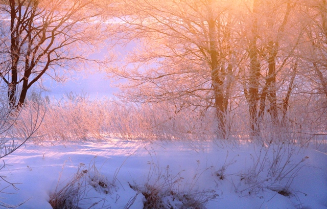 f:id:bihorokiyoshi:20210207082703j:plain