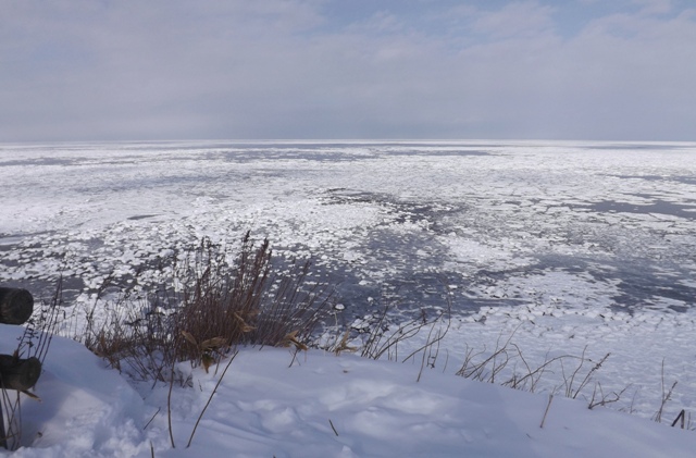 f:id:bihorokiyoshi:20210212100948j:plain