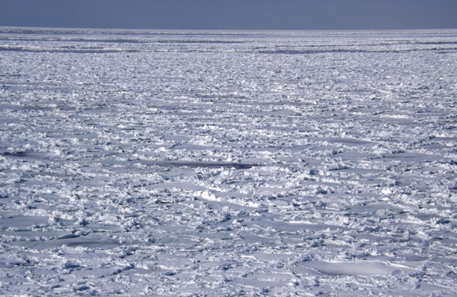 f:id:bihorokiyoshi:20210212101012j:plain