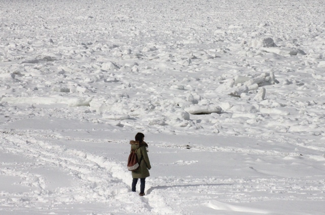 f:id:bihorokiyoshi:20210218071644j:plain