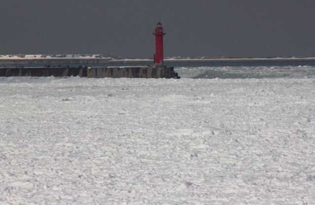 f:id:bihorokiyoshi:20210220064546j:plain